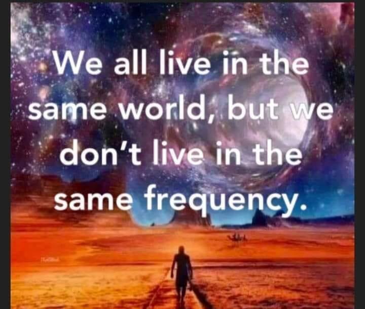 Frequentie